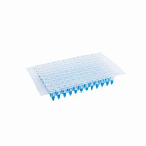 Porvair Sciences Adhesive Seal PCR - Sterile Sheet SF20080SS