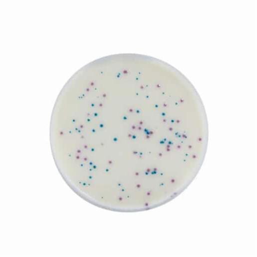 Biokar CONFIRM' Salmonella - Latex agglutination kit 50 tests BT01108