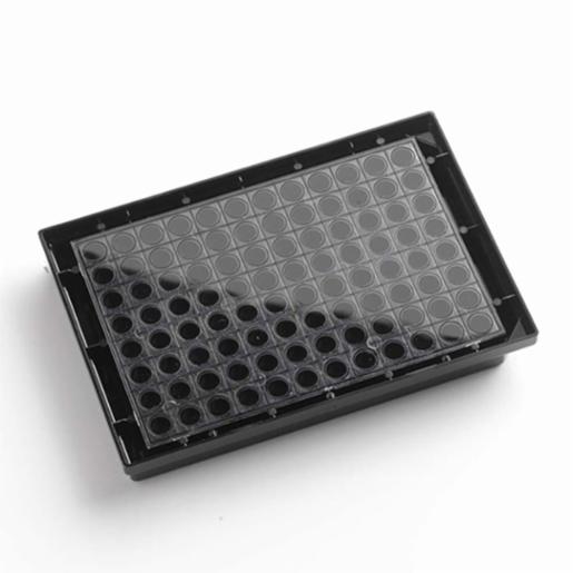 Porvair Sciences 96 Well 350 µl Black Clear F bottom assay plate 215003