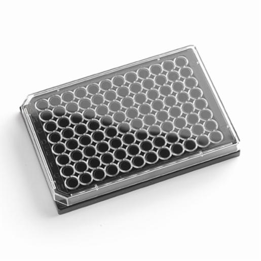 Porvair Sciences 96 Well Black glass bottom assay plate With Lid 324001