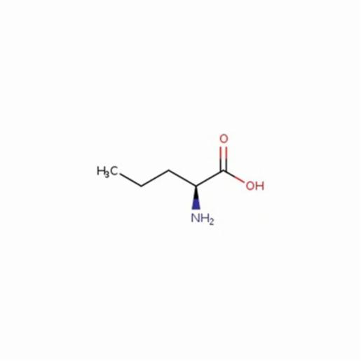 Thermo Fisher L-Norvaline, 99% 1g L08658.03